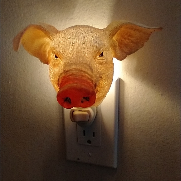 Unique Night Lights - Picture 8 of 14